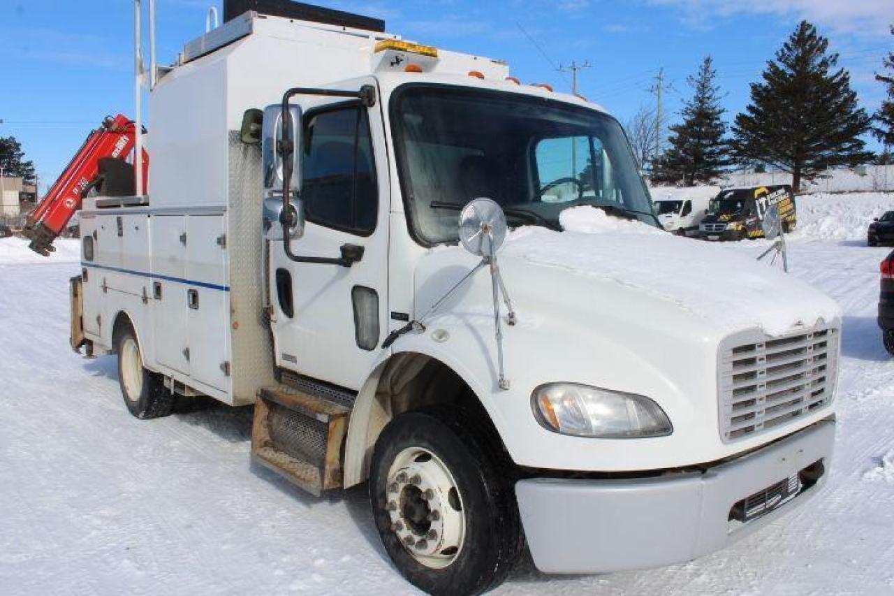 2009 Freightliner M2106  Photo