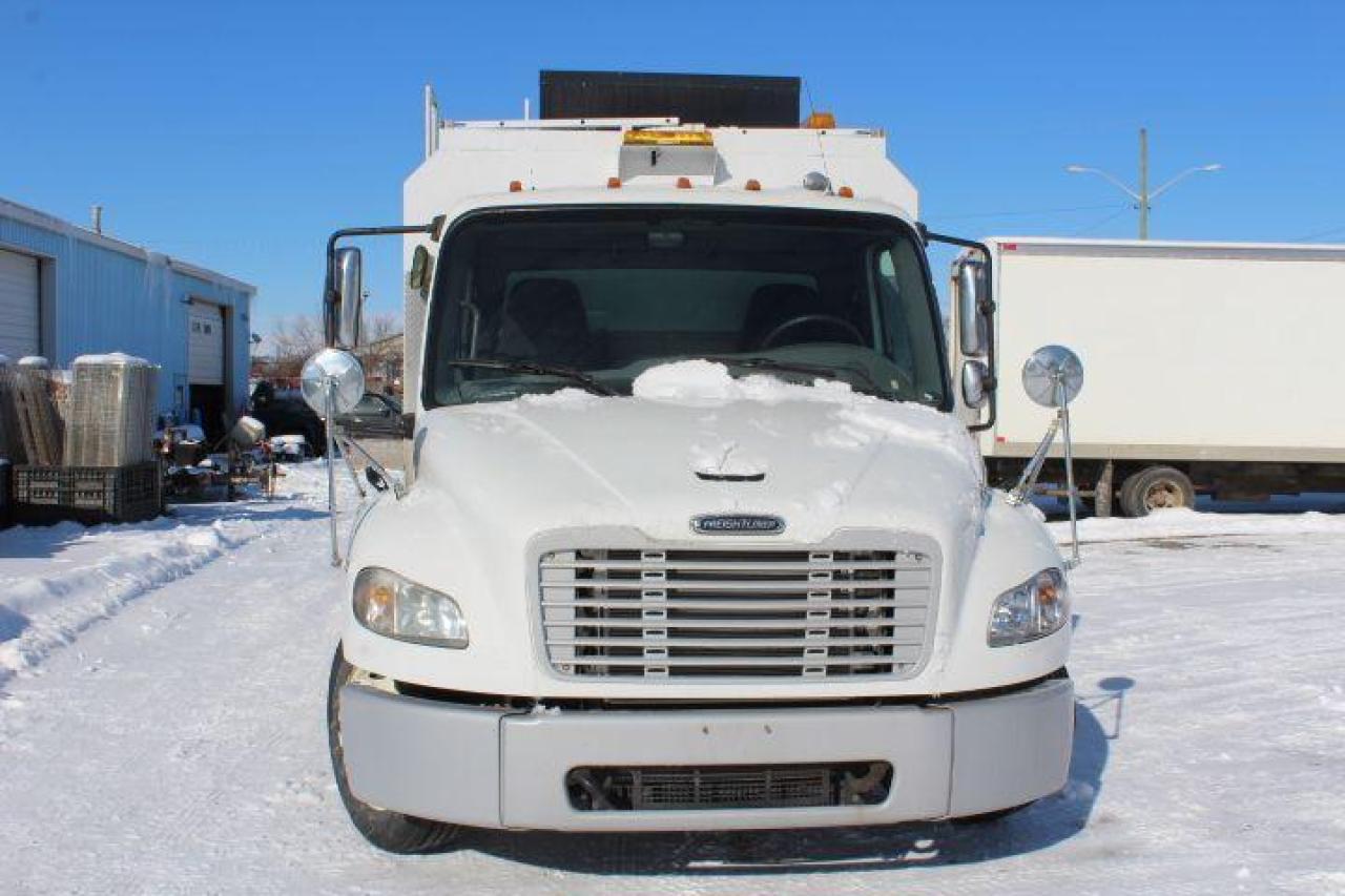 2009 Freightliner M2106  Photo