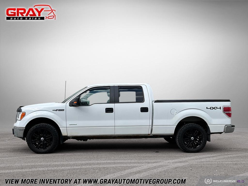2013 Ford F-150  - Photo #2