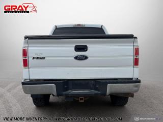 2013 Ford F-150  - Photo #4