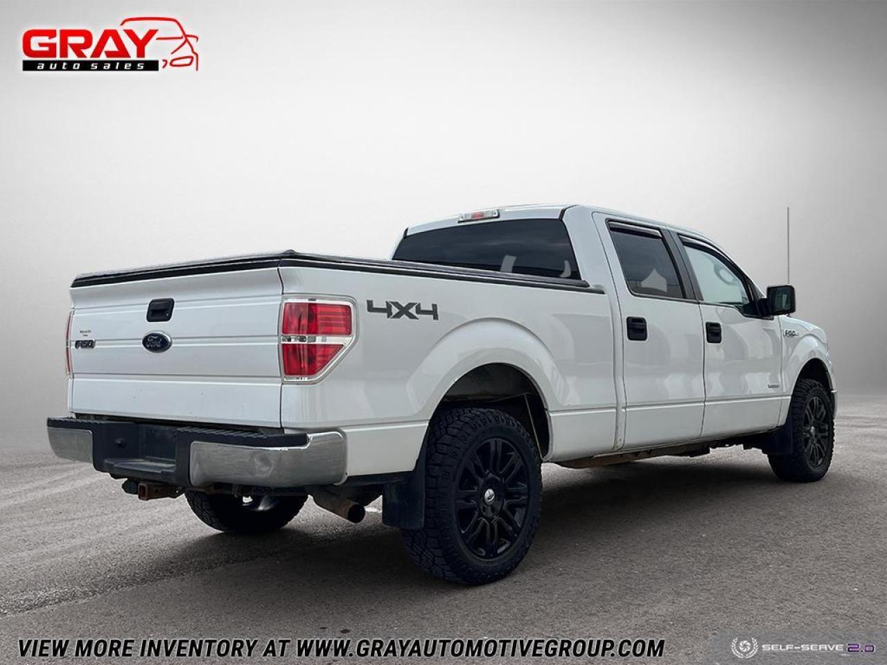 2013 Ford F-150  Photo4