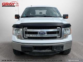 2013 Ford F-150  - Photo #8