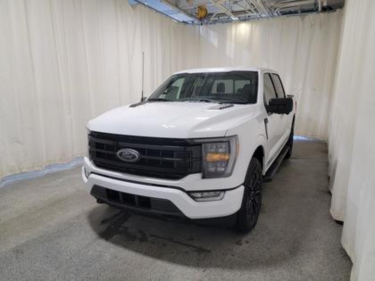 New 2023 Ford F-150 XLT 302A W/BLACK APPEARANCE PACKAGE for sale in Regina, SK