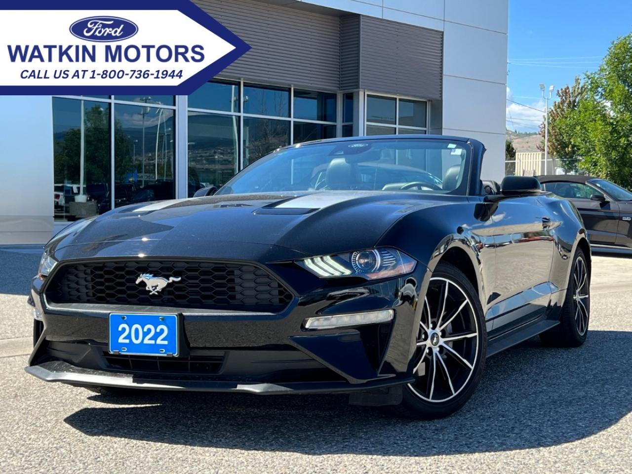 Image - 2022 Ford Mustang 