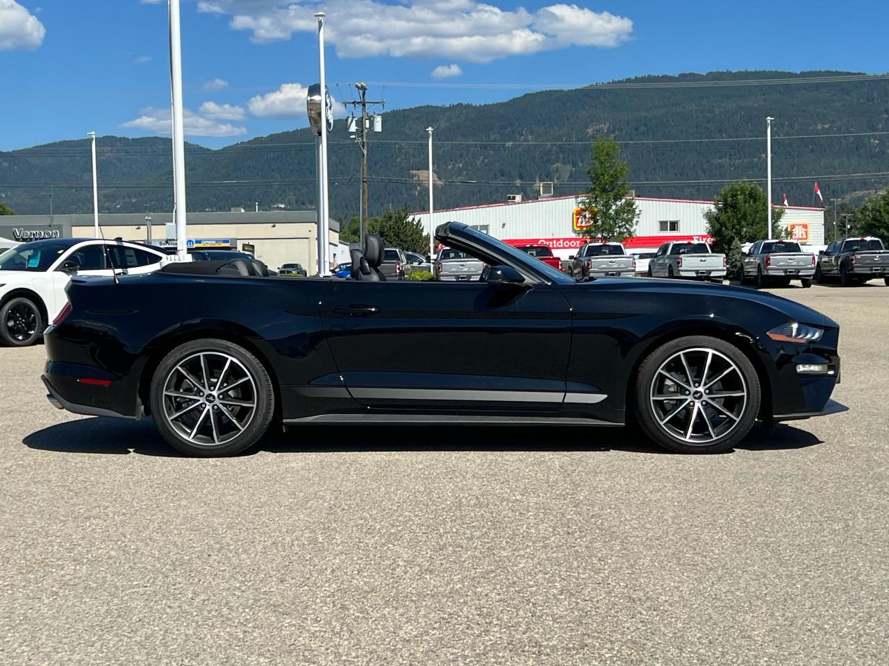 2022 Ford Mustang EcoBoost Premium Convertible Photo5