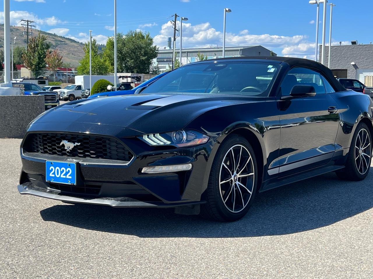 2022 Ford Mustang EcoBoost Premium Convertible Photo5