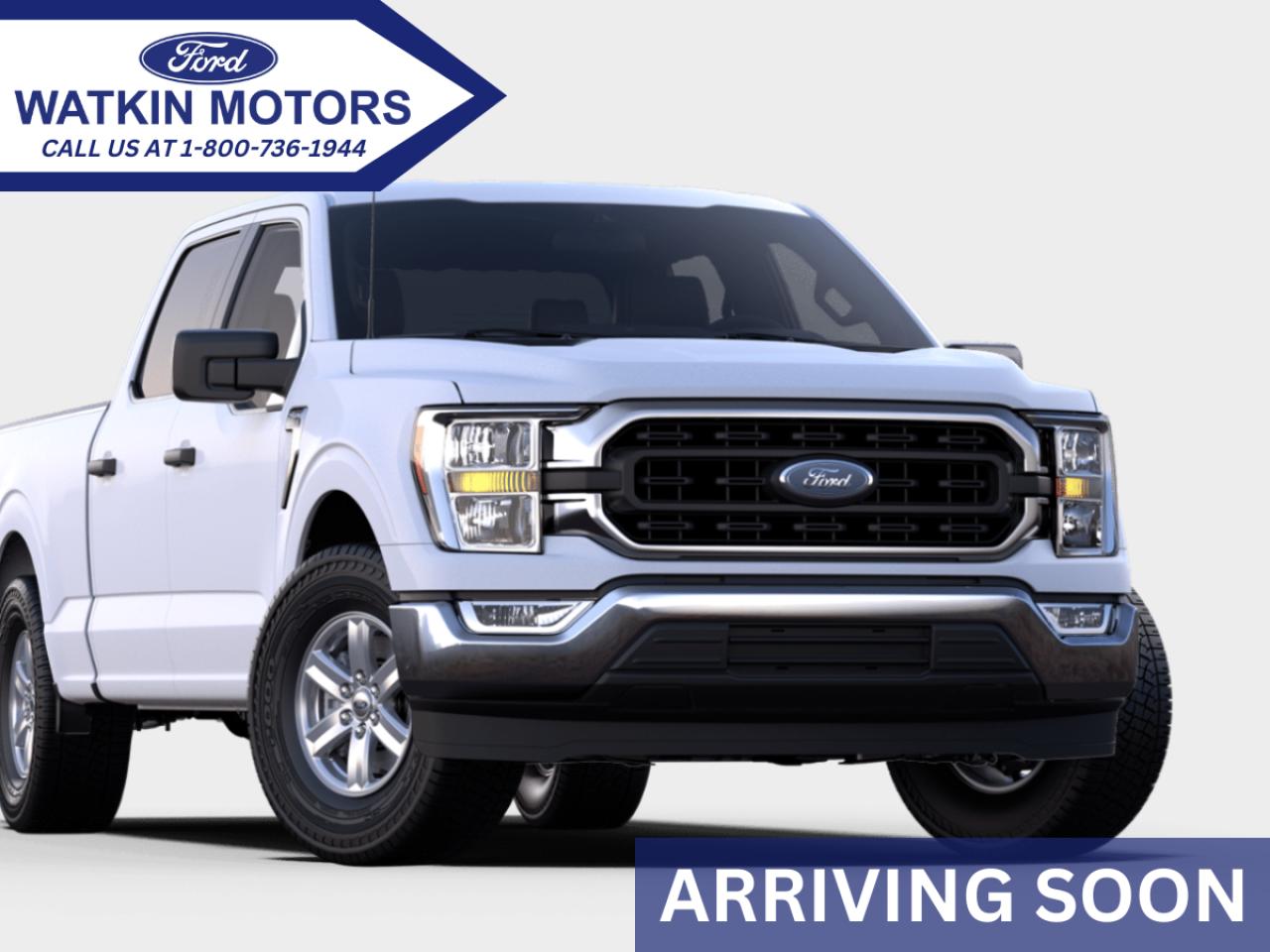 2023 Ford F-150 XLT Photo3