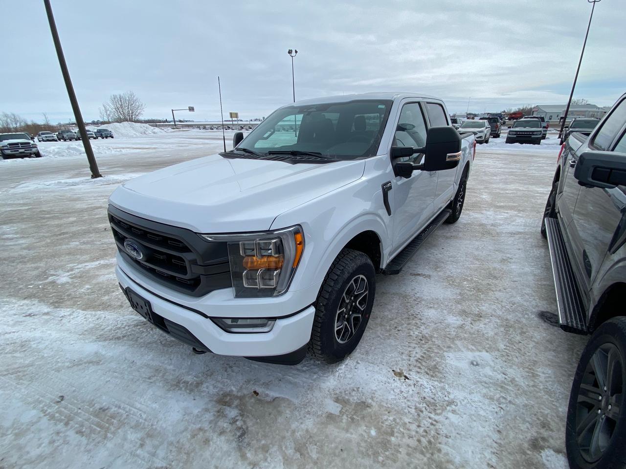New 2023 Ford F-150 XLT 4WD SUPERCREW 5.5' BOX for sale in Elie, MB