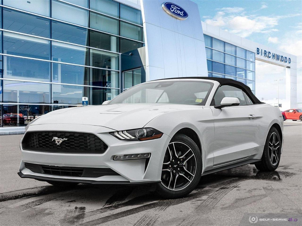 New 2023 Ford Mustang EcoBoost Premium 3.99% APR | Nav | Adaptive Cruice Control for sale in Winnipeg, MB