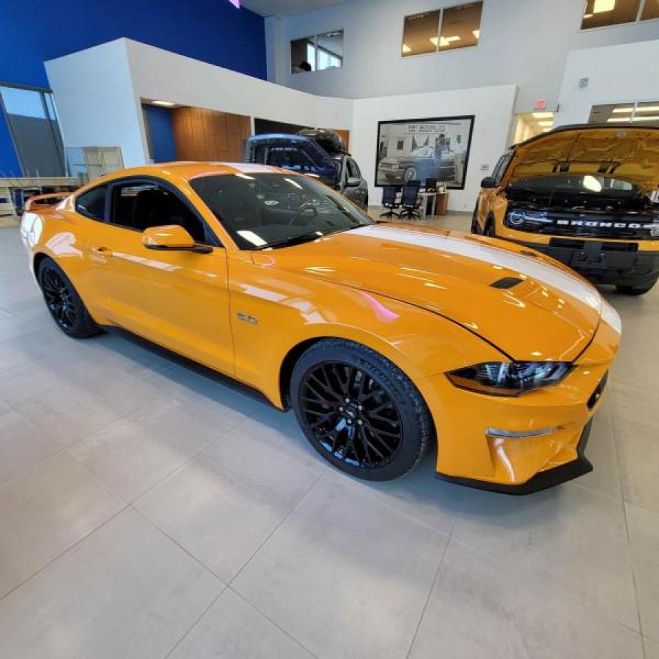 2019 Ford Mustang GT Premium Fastback  - Leather Seats