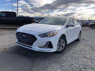 Heated Seats, Heated Steering Wheel, Hands Free Trunk Lid, Proximity Keyless Entry, Apple CarPlay, Android Auto, Blind Spot Monitoring, Bluetooth
  Hurry on this one! Marked down from $26975 - you save $1087.   The newly updated suspension is a big improvement over past Sonatas. It has the right dose of compliance to smooth out road imperfections without excessive body roll, making it a good balance of compliance and control. This  2019 Hyundai Sonata Hybrid is fresh on our lot in Mission. 
The very stylish design of this 2019 Hyundai Sonata is only the beginning. With a hybrid drivetrain, youll be saving gas with every drive! Inside, youll be impressed by the high number of features that make your drive better. Youll also feel added peace of mind with a number of available Hyundai SmartSense safety technologies that actively monitor your surroundings, including standard Blind-Spot Collision Warning! This  sedan has 93,204 kms. Its  hyper white in colour  . It has a 6 speed auto transmission and is powered by a  193HP 2.0L 4 Cylinder Engine.  It may have some remaining factory warranty, please check with dealer for details. 
 Our Sonata Hybrids trim level is Preferred. This Sonata Hybrid Preferred only feels cheap on the price tag with heated front seats and steering wheel, hands free smart trunk, proximity key, aluminum wheels, heated power side mirrors with turn signals, multi function leather steering wheel, dual zone automatic climate control, and blind spot monitoring with lane change assist and rear cross traffic alert. This sweet hybrid comes equipped with an infotainment system complete with Android Auto, Apple CarPlay, 7 inch touchscreen, USB and aux inputs, and Bluetooth.
To apply right now for financing use this link : http://www.pioneerpreowned.com/financing/index.htm
Pioneer Pre-Owned has more than 60 years of experience in the automotive domain in B.C. backing it up, and we are proud to be your first-choice used car dealer in Mission! Buying a vehicle can be a stressful time. WE CAN HELP make it worry free and easy. How is this worry free? Our team of highly trained Auto Technicians do a full safety inspection on each vehicle. Our vehicles come with a Complete Car-proof Report and lien search history. We can deliver straight to your door or we can provide a free hotel if you so choose to come to us. We service BC, Alberta and Saskatchewan. Do you have credit issues? We know that bad things happen to good people. We all have a past, if yours is preventing you from moving forward WE CAN HELP rebuild you credit. Are you a first-time buyer, a new Canadian resident on a work permit? Is a current bankruptcy or recently discharged, past repossessions or just started a new job holding you back? TOUGH CREDIT, NO CREDIT, or GOOD CREDIT. Are your current payments to high? Do you like the vehicle you have now, but would love to lower your payments? Refinancing is Available. Need Extra cash? As an authorized representative for over 18 financial institutions and lenders. We can offer up to $15000.00 cash back and NO PAYMENTS for up to 90 days OAC. We have 0 down financing and low interest rates available. All vehicles are subject to a $695 dealer documentation fee and finance placement fee. Visit our website @ www.pioneerpreowned.com and lets us be your credit Specialists! o~o