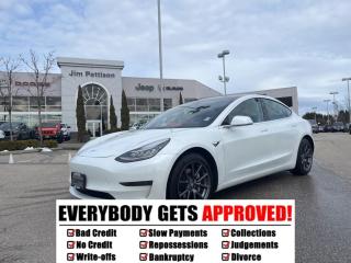 Used 2020 Tesla Model 3 STANDARD RANGE PLUS for sale in Surrey, BC