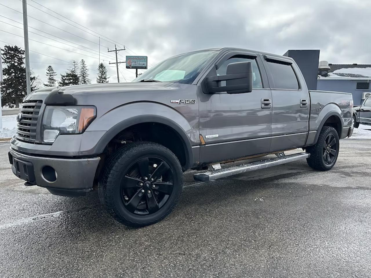Used 2012 Ford F-150 FX4 for sale in Harriston, ON