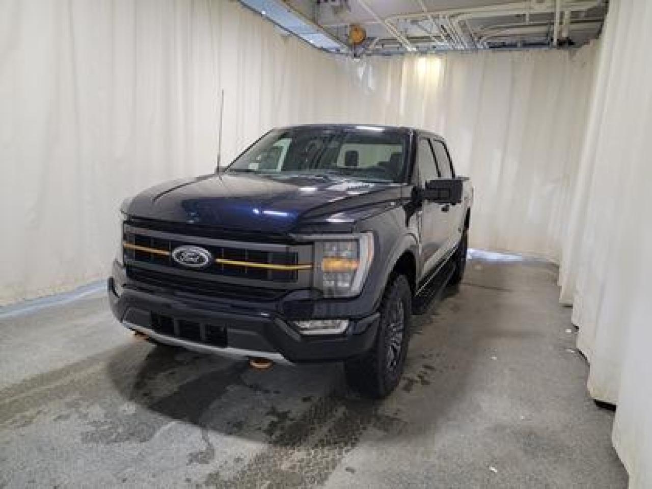 New 2023 Ford F-150 TREMOR 401A W/MOONROOF & 360 CAMERA for sale in Regina, SK