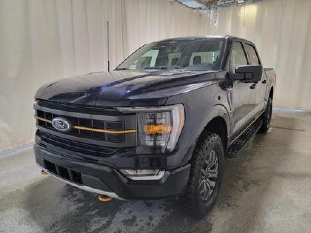 New 2023 Ford F-150 TREMOR 401A W/TAILGATE STEP & MOONROOF for sale in Regina, SK