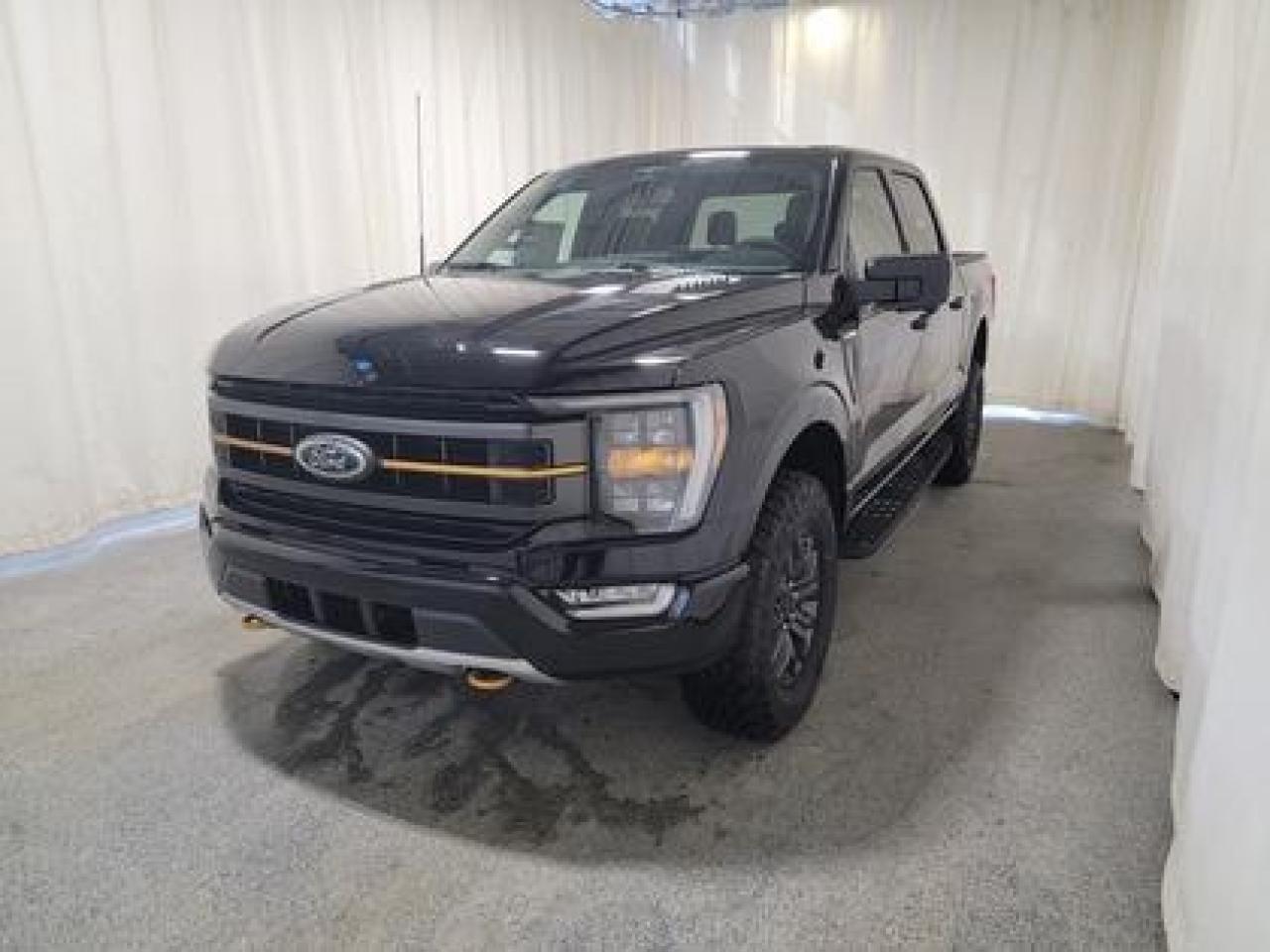 New 2023 Ford F-150 TREMOR 401A W/MOONROOF & 360 CAMERA for sale in Regina, SK