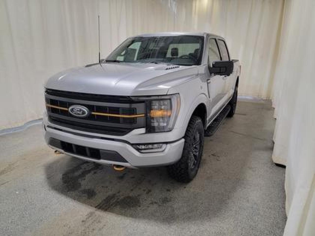 New 2023 Ford F-150 TREMOR 401A W/TAILGATE STEP & 360 CAMERA for sale in Regina, SK