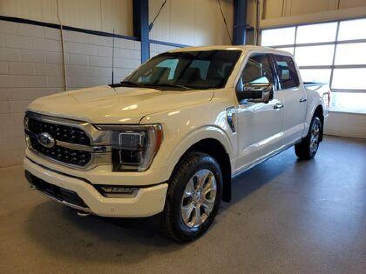 New 2023 Ford F-150 PLATINUM 701A W/TWIN PANEL MOONROOF for sale in Moose Jaw, SK