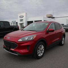Used 2021 Ford Escape SE for sale in Kingston, ON