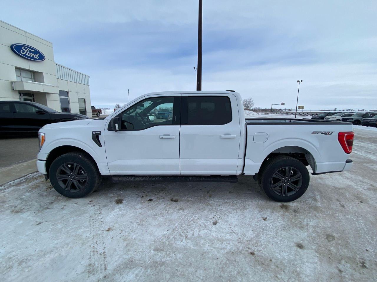 New 2023 Ford F-150 XLT 4WD SUPERCREW 5.5' BOX for sale in Elie, MB