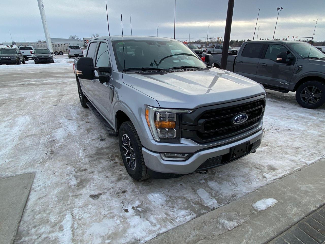 New 2023 Ford F-150 XLT 4WD SUPERCREW 6.5' BOX for sale in Elie, MB