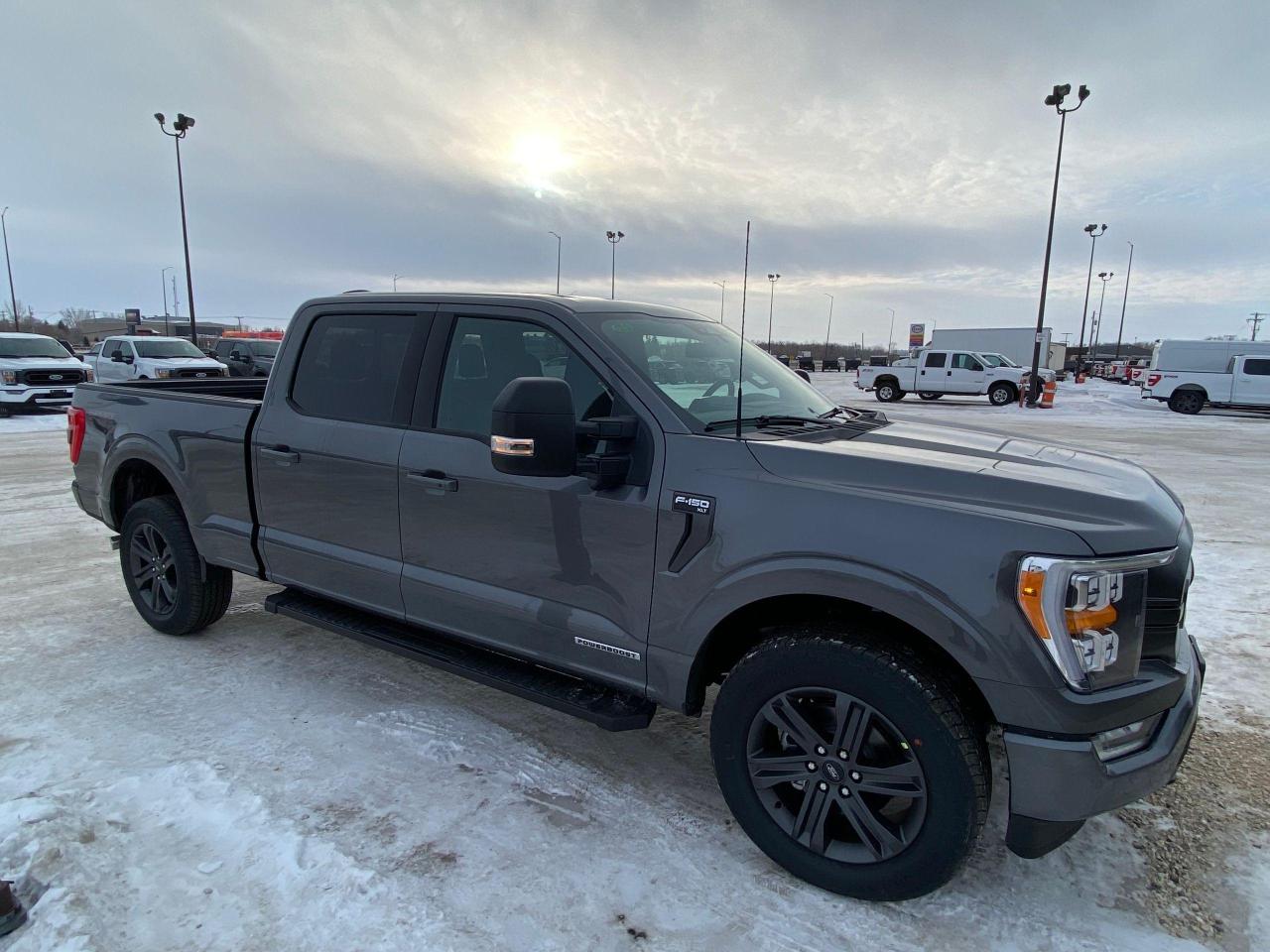 New 2023 Ford F-150 XLT 4WD SUPERCREW 6.5' BOX for sale in Elie, MB