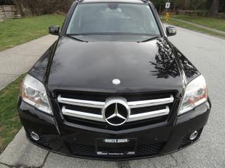 2010 Mercedes-Benz GLK350 4 MATIC -  DOC FEE ONLY $195.00 - Photo #4