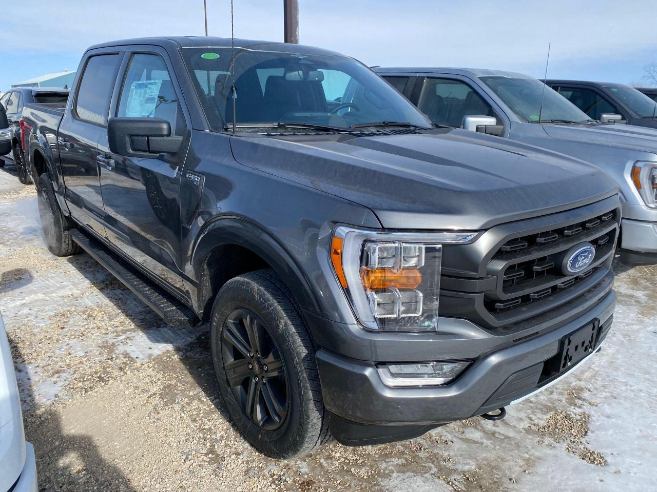 New 2023 Ford F-150 XLT 4WD SUPERCREW 5.5' BOX for sale in Elie, MB