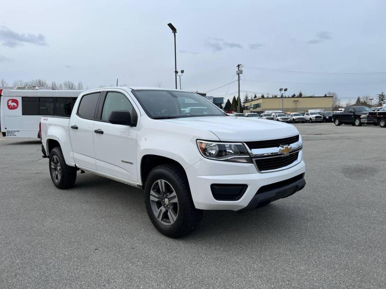 2019 Chevrolet Colorado 4WD Crew Cab 128.3" Work Truck - Photo #1