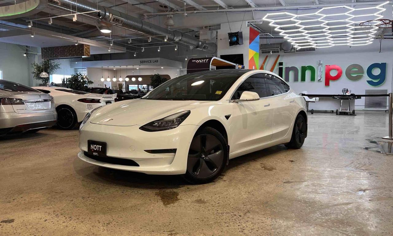 Used 2020 Tesla Model 3 STANDARD RANGE PLUS for sale in Winnipeg, MB