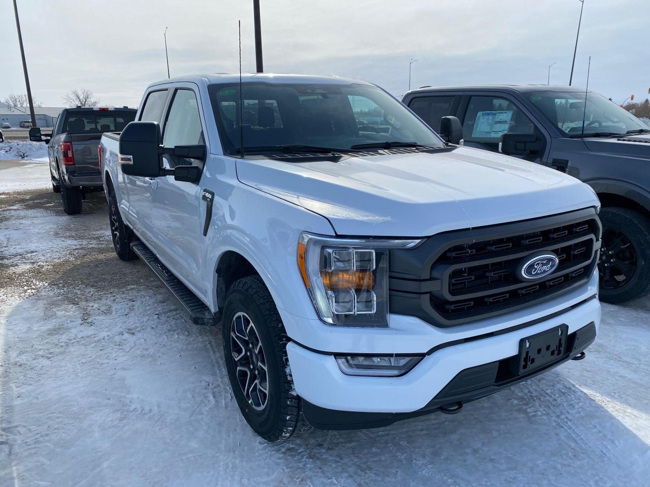 New 2023 Ford F-150 XLT 4WD SUPERCREW 6.5' BOX for sale in Elie, MB