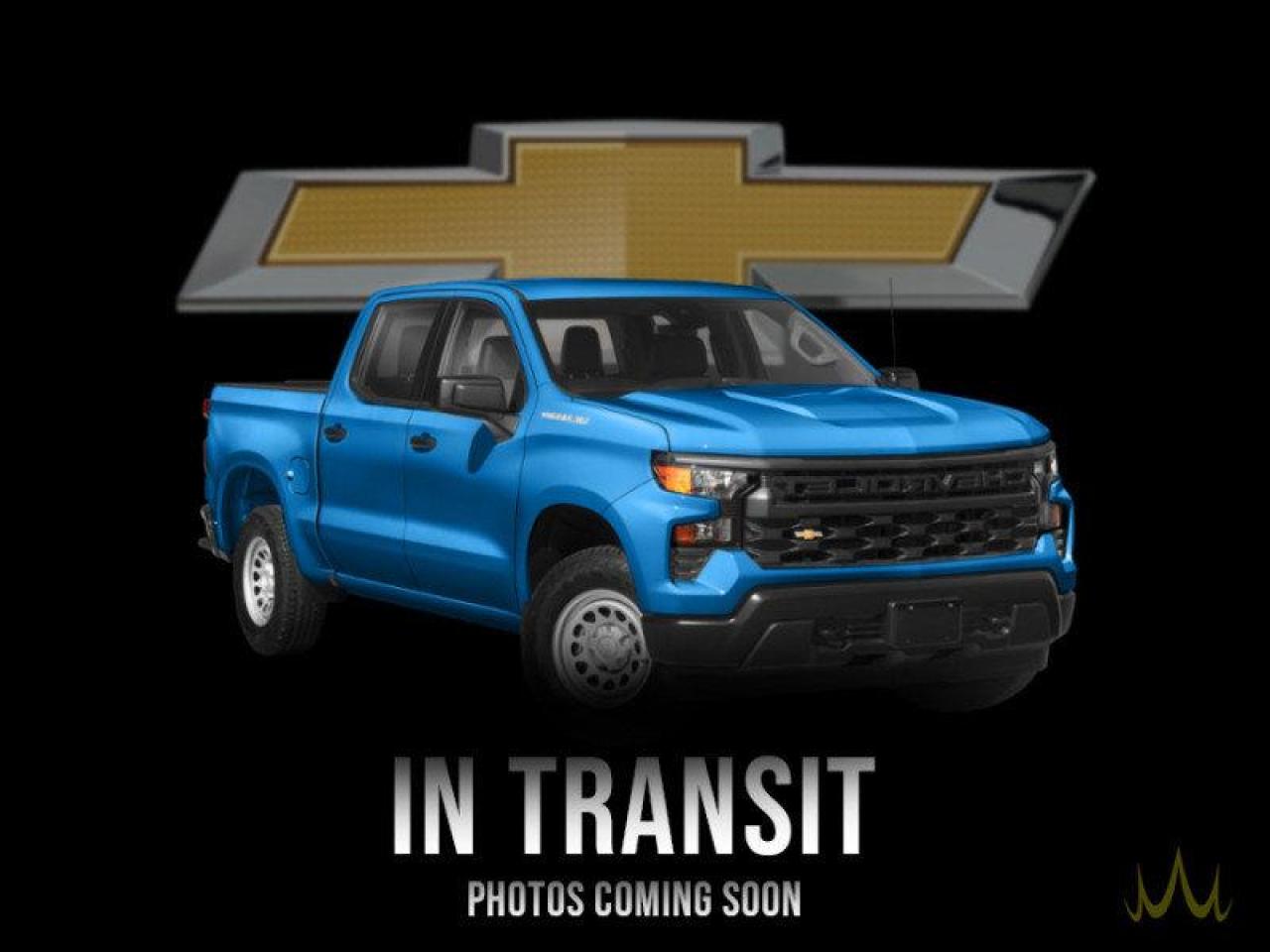 New 2023 Chevrolet Silverado 1500 LT Trail Boss for sale in Rosetown, SK