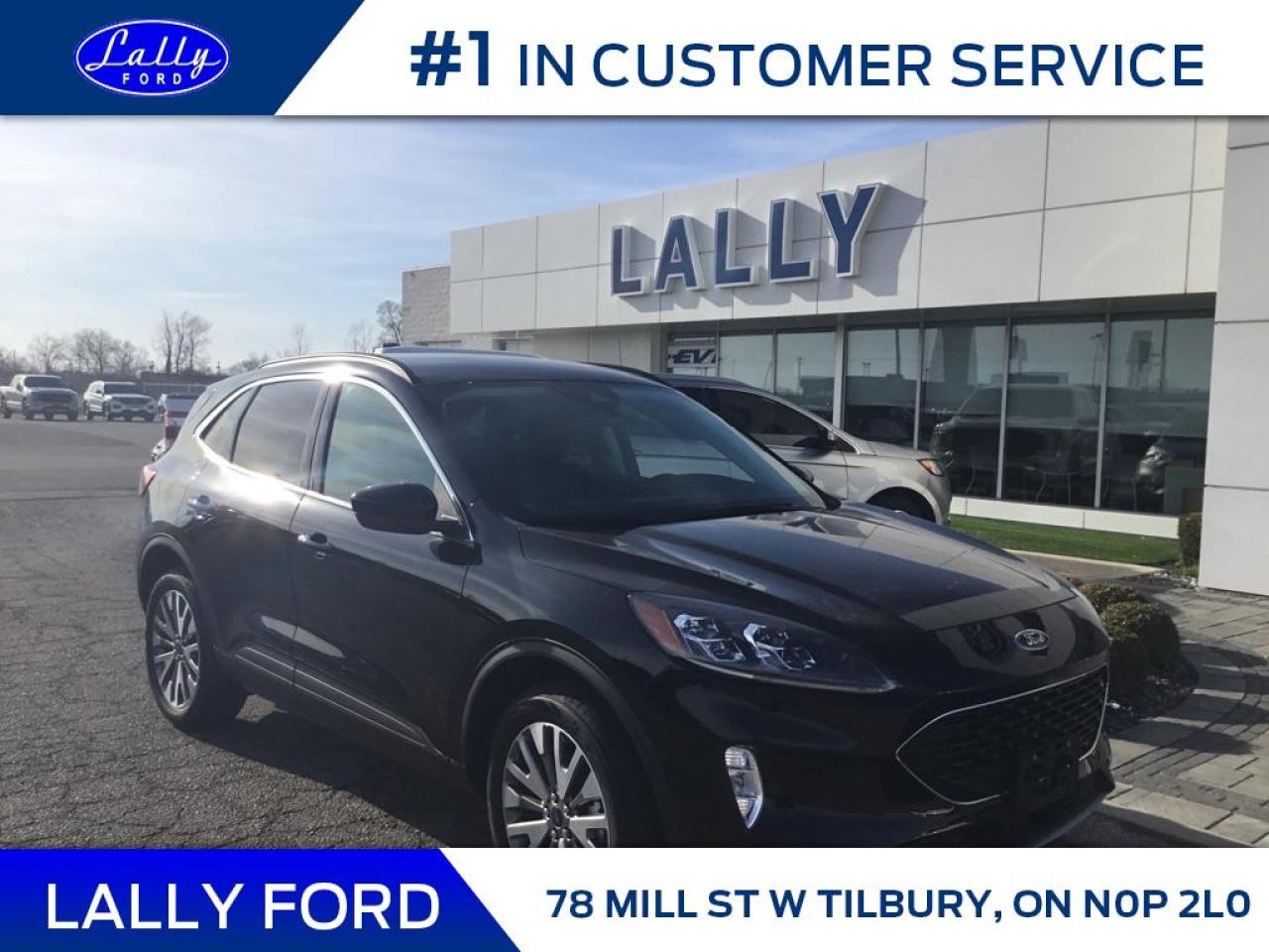 New 2022 Ford Escape Titanium for sale in Tilbury, ON