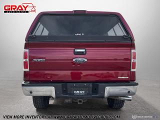 2013 Ford F-150 4WD SUPERCREW 145" XLT - Photo #4