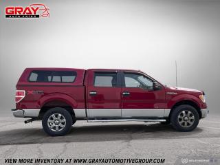 2013 Ford F-150 4WD SUPERCREW 145" XLT - Photo #6