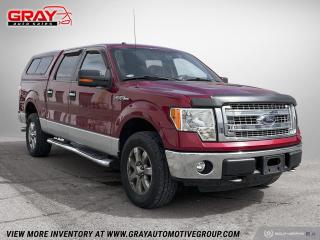 2013 Ford F-150 4WD SUPERCREW 145" XLT - Photo #7