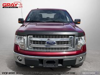 2013 Ford F-150 4WD SUPERCREW 145" XLT - Photo #8