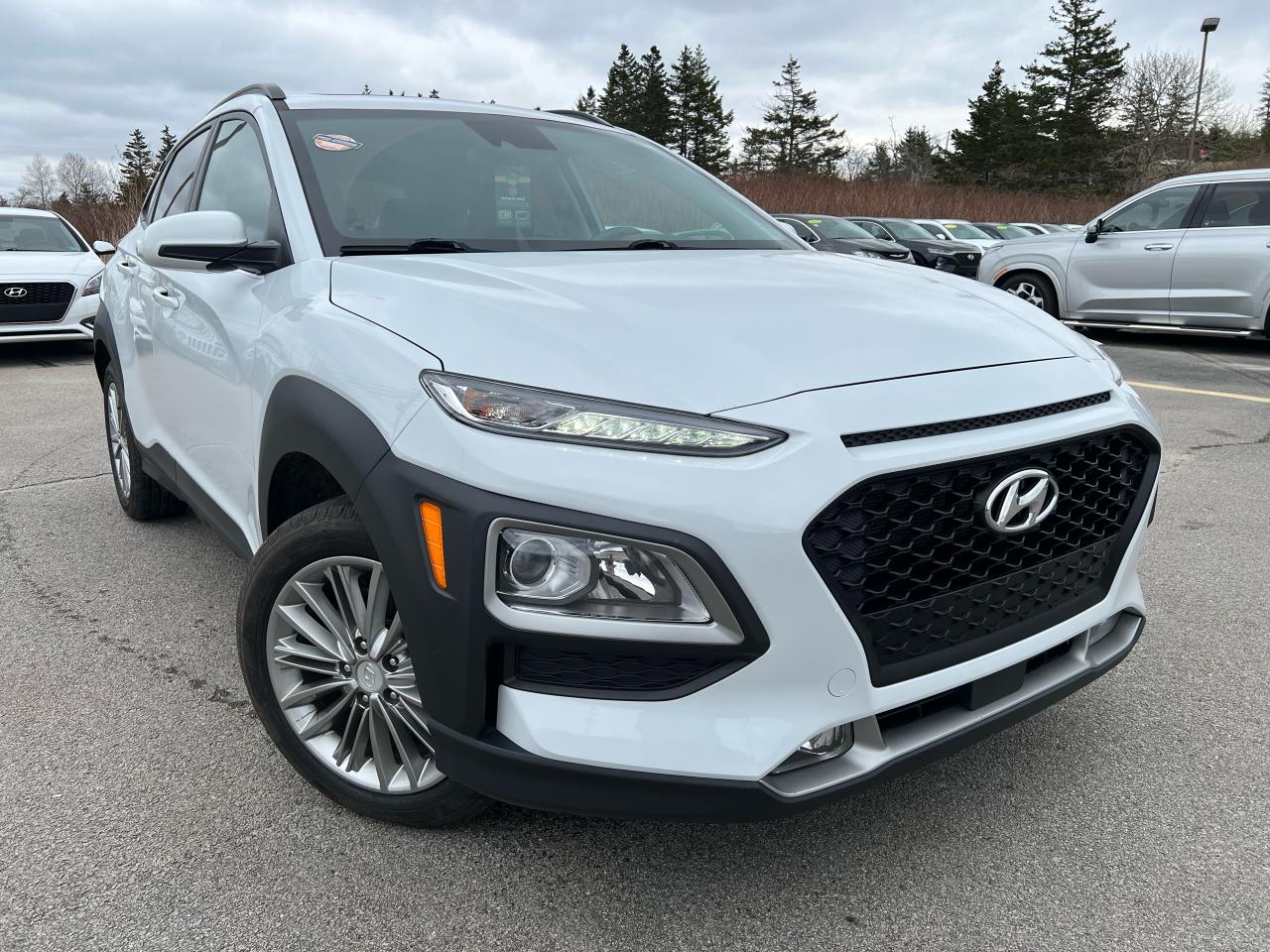 2019 Hyundai KONA LUXURY