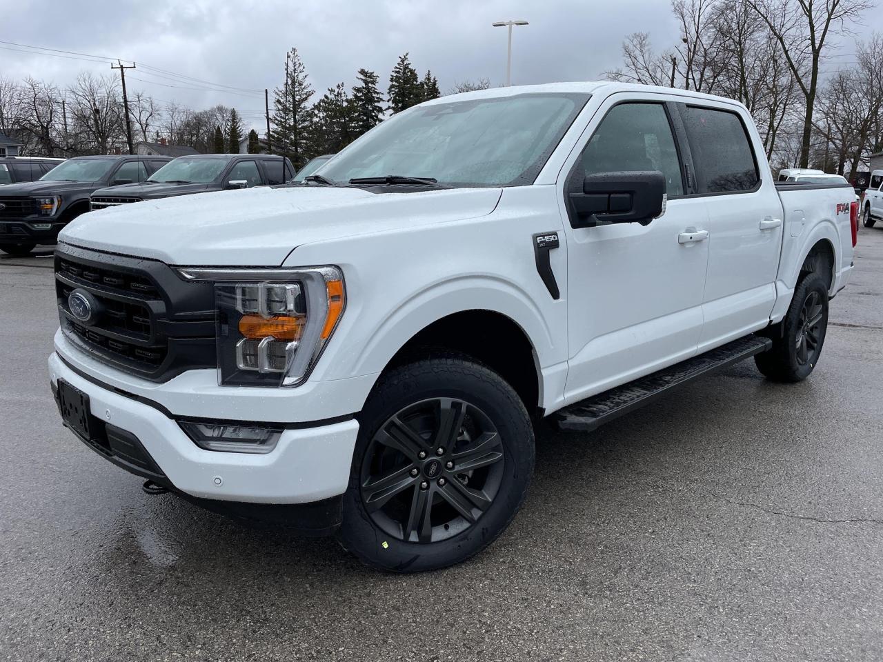 New 2023 Ford F-150 XLT Sport Appearance Package - AVAILABLE NOW! for sale in Caledonia, ON
