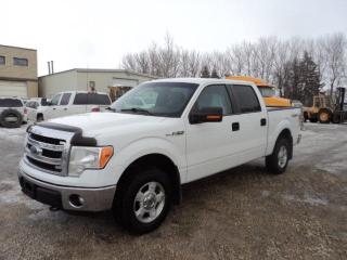 <p>2014 Ford F140 Crew Cab 4x4 5.0L buckets air tilt cruise pl pw pm alloy wheels tow package new safety we offer financing and warranties. $18900 plus taxes Conquest Truck & Auto Sales 149 Oak Point Hwy Winnipeg 204 633 1135 dp07879</p>