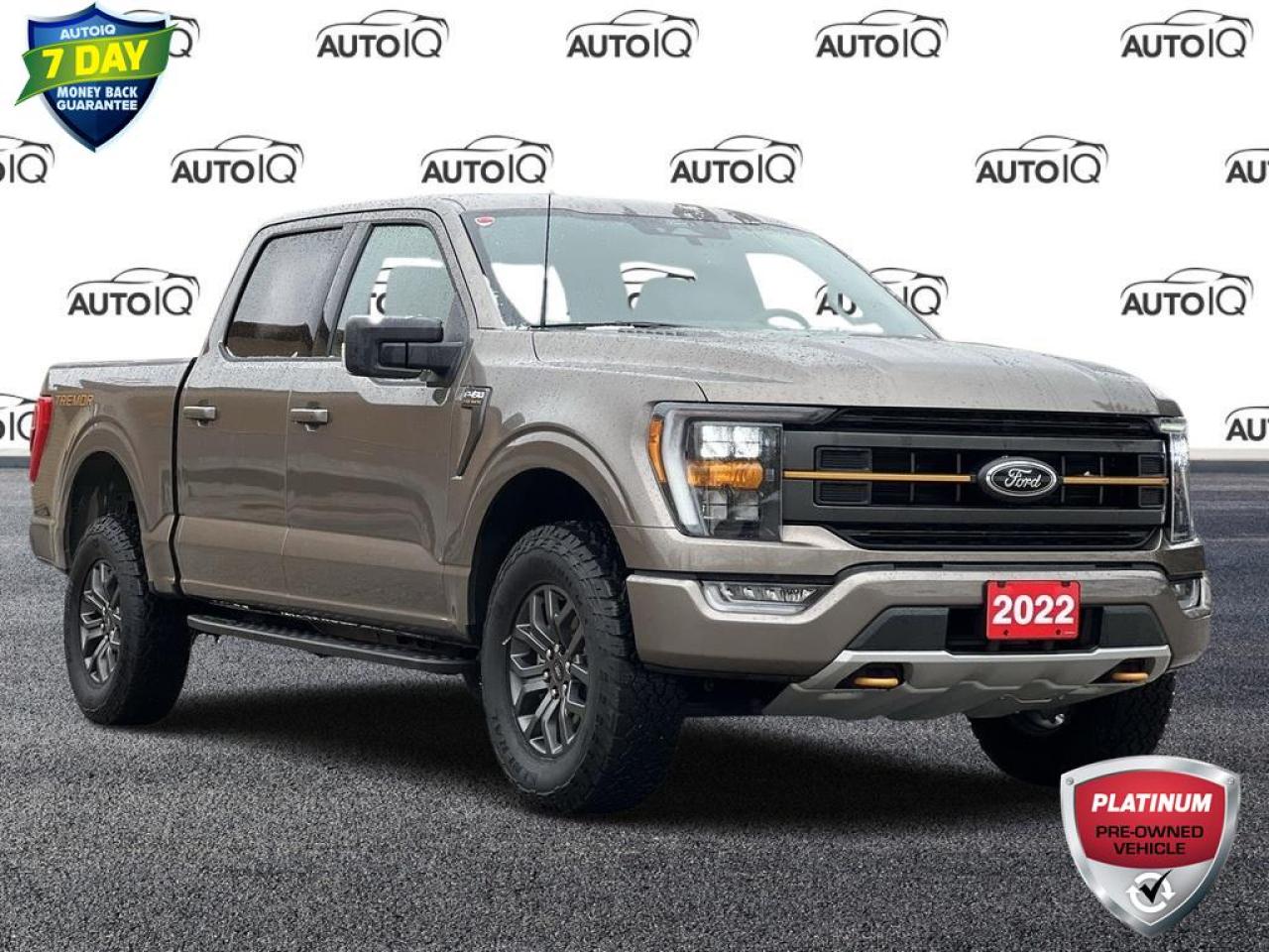 Used 2022 Ford F-150 Tremor 401A | POWER SEATS | B&O SOUND SYSTEM for sale in Kitchener, ON