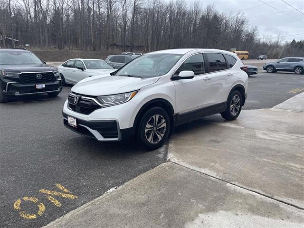 2021 Honda CR-V LX Photo3