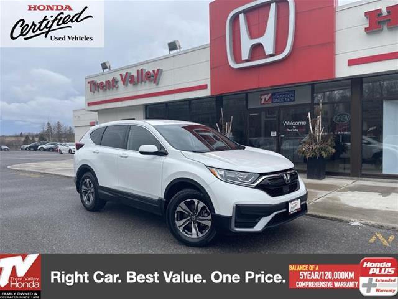 Used 2021 Honda CR-V LX for sale in Peterborough, ON