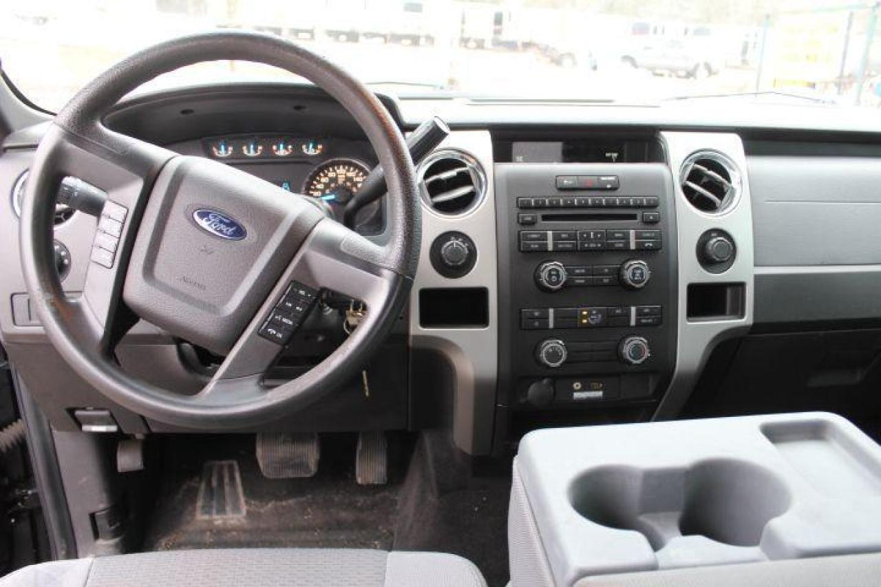 2013 Ford F-150  Photo4