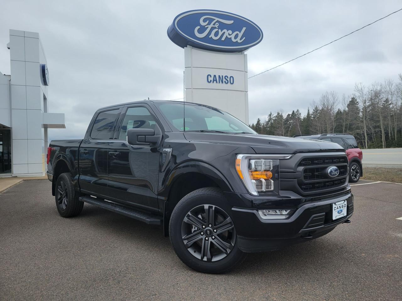 2023 Ford F-150 XLT 4WD SUPERCREW 5.5' BOX Photo5