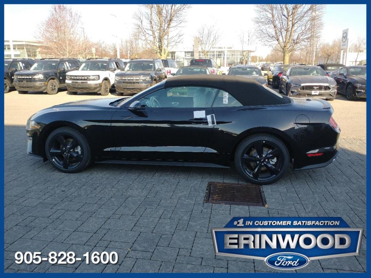 New 2023 Ford Mustang EcoBoost Premium for sale in Mississauga, ON