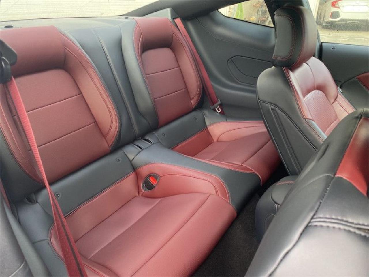2024 Ford Mustang GT Premium  - Leather Seats Photo2