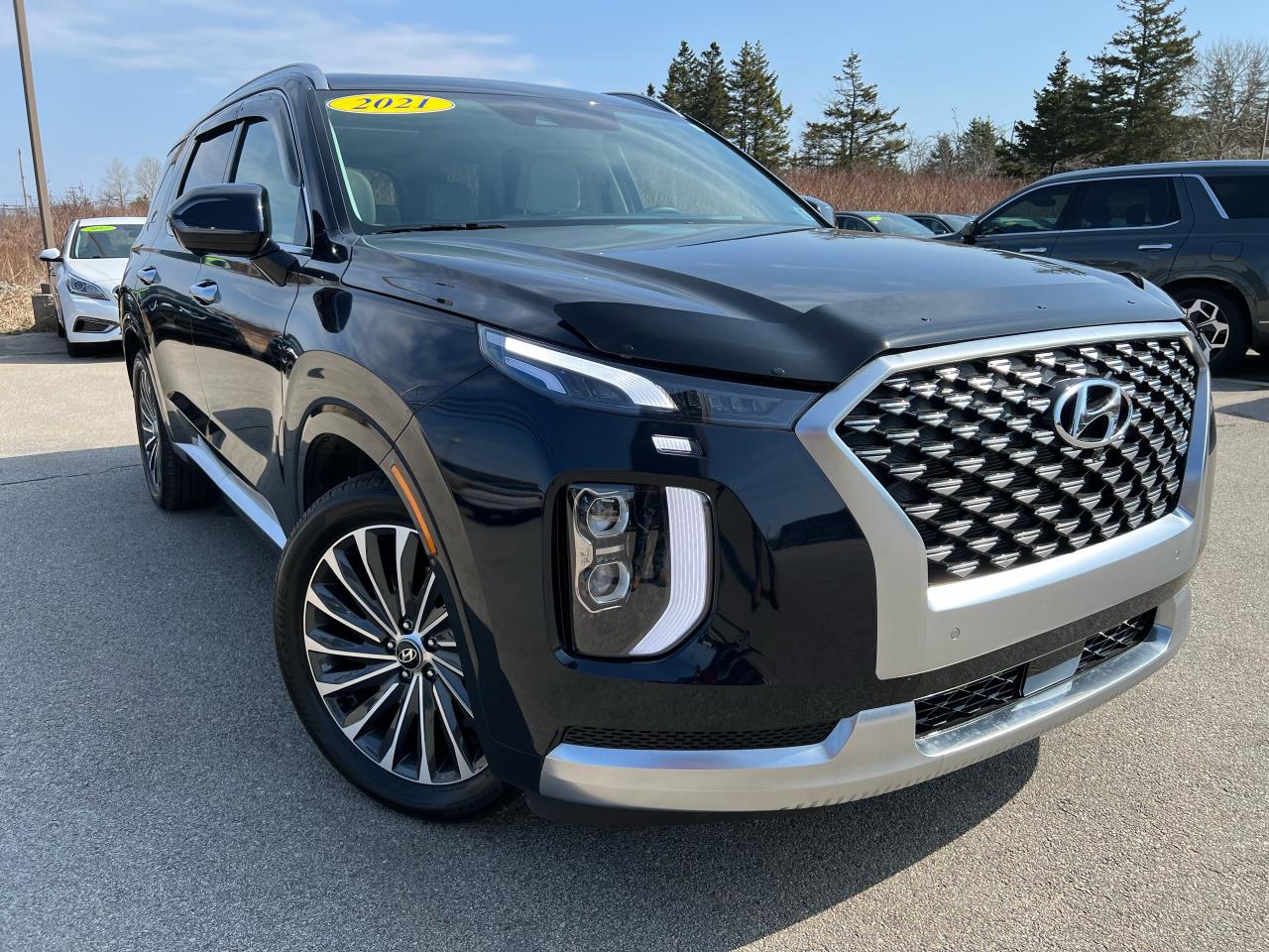 2021 Hyundai PALISADE Calligraphy Photo1