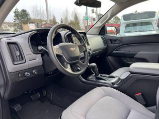 2019 Chevrolet Colorado 4WD Crew Cab 128.3" - Photo #13
