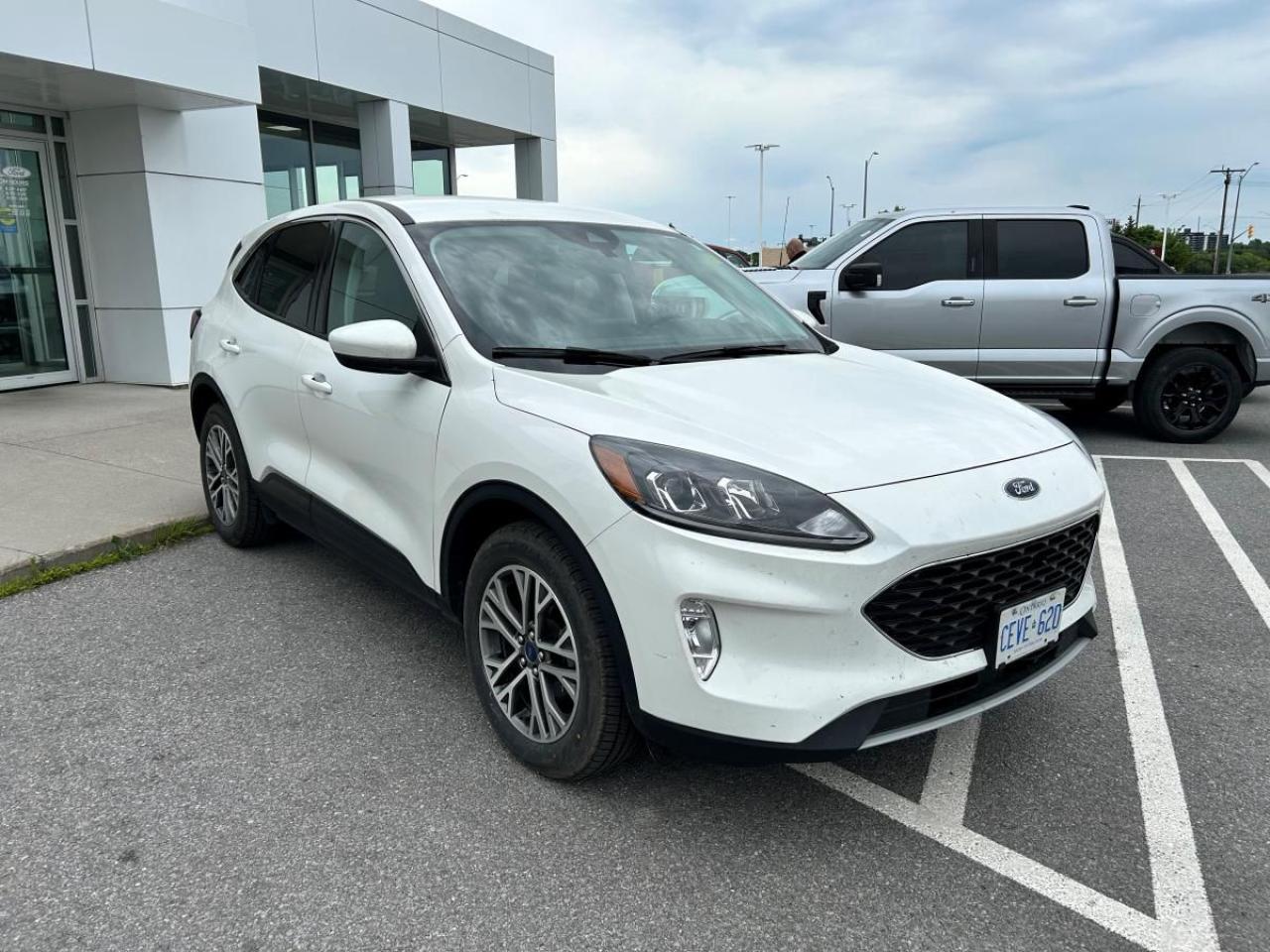 2022 Ford Escape Hybrid SEL HYBRID Photo2